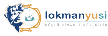Lokmanyusi - Lokmanyusi Logo